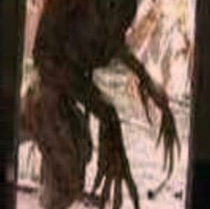 Meet your Posher, Ian